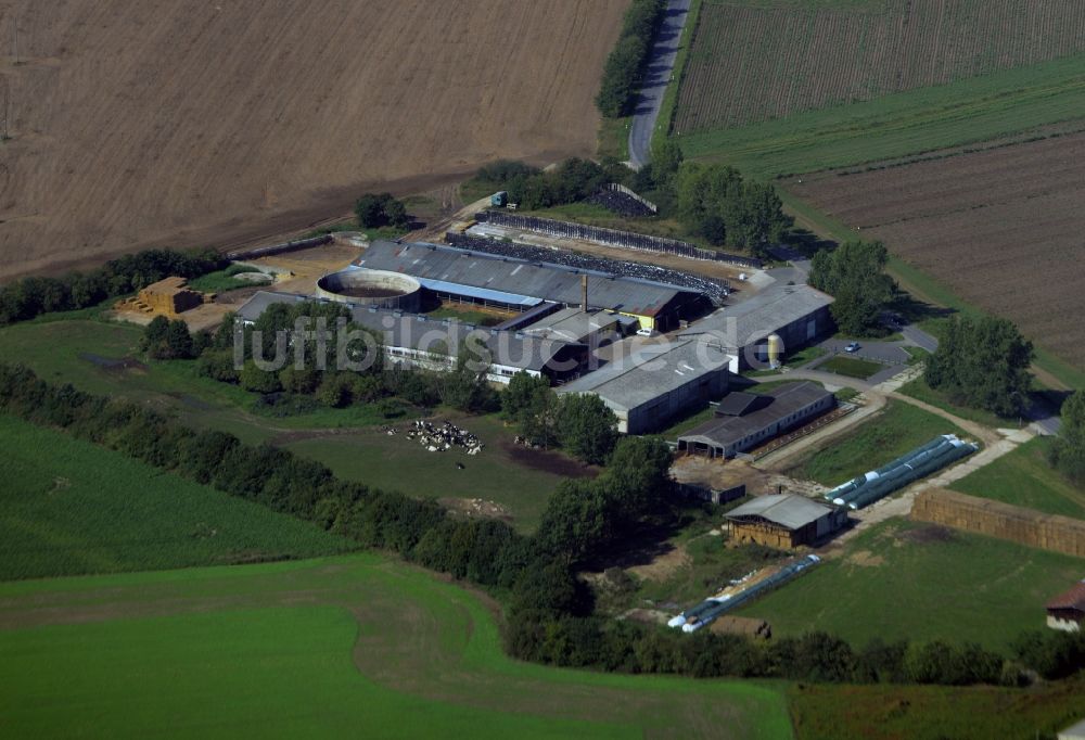 Luftaufnahme Zixdorf - Tierzucht- Stallanlagen Tierzucht für die Milchproduktion in Zixdorf im Bundesland Brandenburg