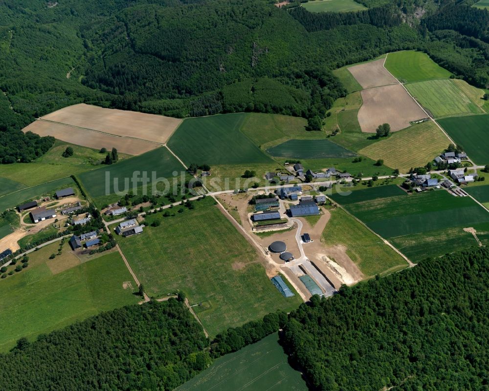 Luftbild Briedeler Heck, Briedel - Tierzucht- Stallanlagen zur Geflügelzucht in Briedeler Heck, Briedel im Bundesland Rheinland-Pfalz