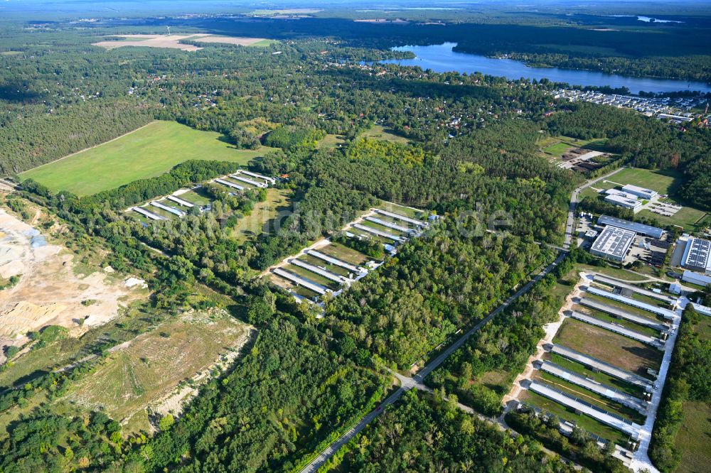 Königs Wusterhausen aus der Vogelperspektive: Tierzucht- Stallanlagen zur Geflügelzucht in Königs Wusterhausen im Bundesland Brandenburg, Deutschland