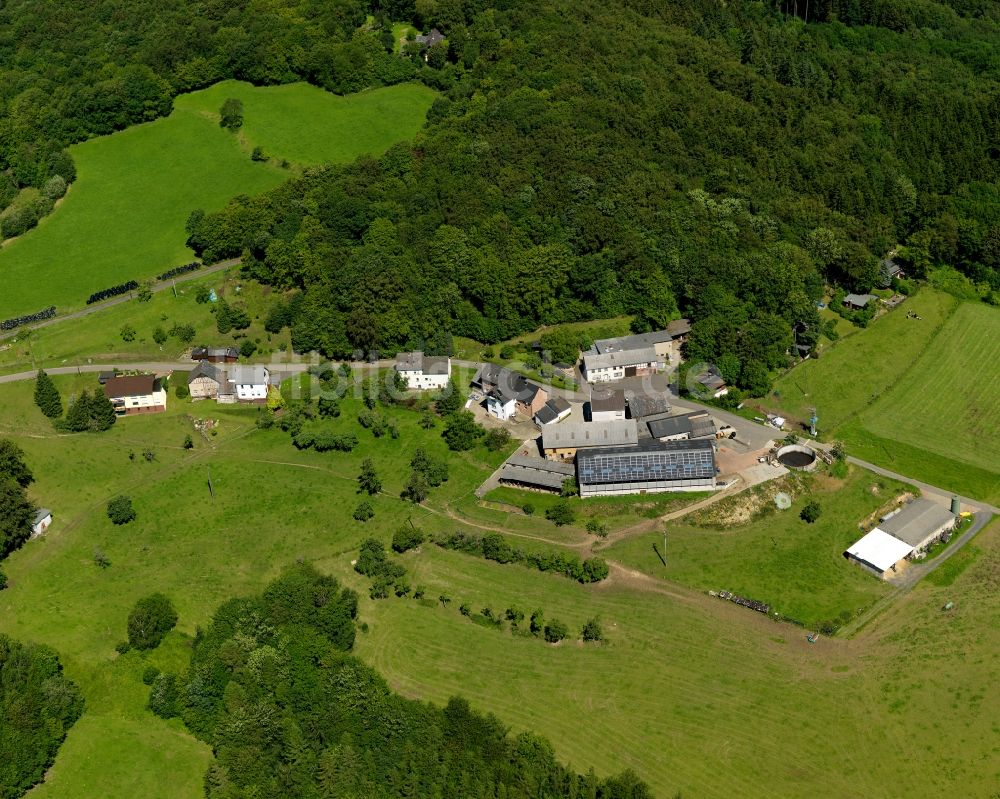 Luftaufnahme Manroth, Neustadt (Wied) - Tierzucht- Stallanlagen zur Geflügelzucht in Manroth, Neustadt (Wied) im Bundesland Rheinland-Pfalz