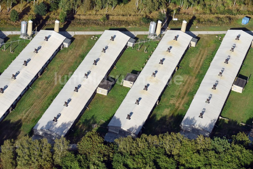 Biesenthal von oben - Tierzucht- Stallanlagen zur Geflügelzucht an der Rüdnitzer Chaussee in Biesenthal im Bundesland Brandenburg, Deutschland