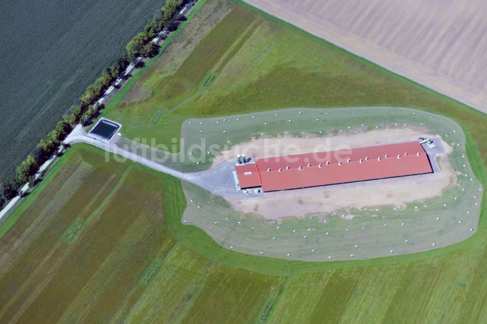 Luftbild Farnstädt - Tierzucht- Stallanlagen zur Geflügelzucht in im Bundesland Sachsen-Anhalt, Deutschland