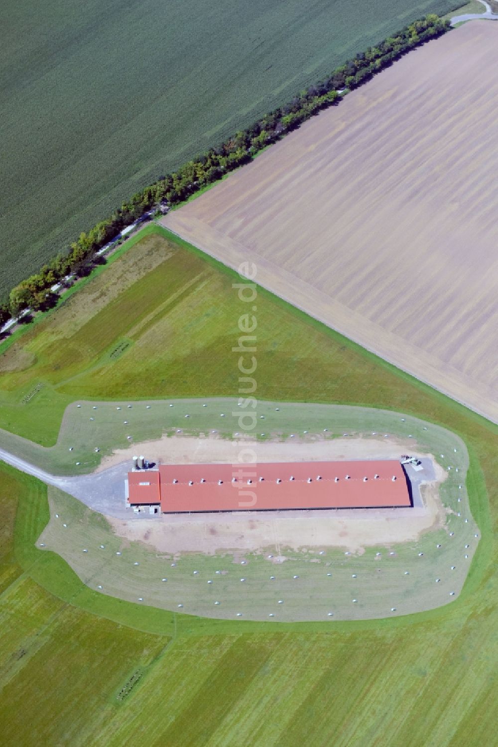 Luftaufnahme Farnstädt - Tierzucht- Stallanlagen zur Geflügelzucht in im Bundesland Sachsen-Anhalt, Deutschland