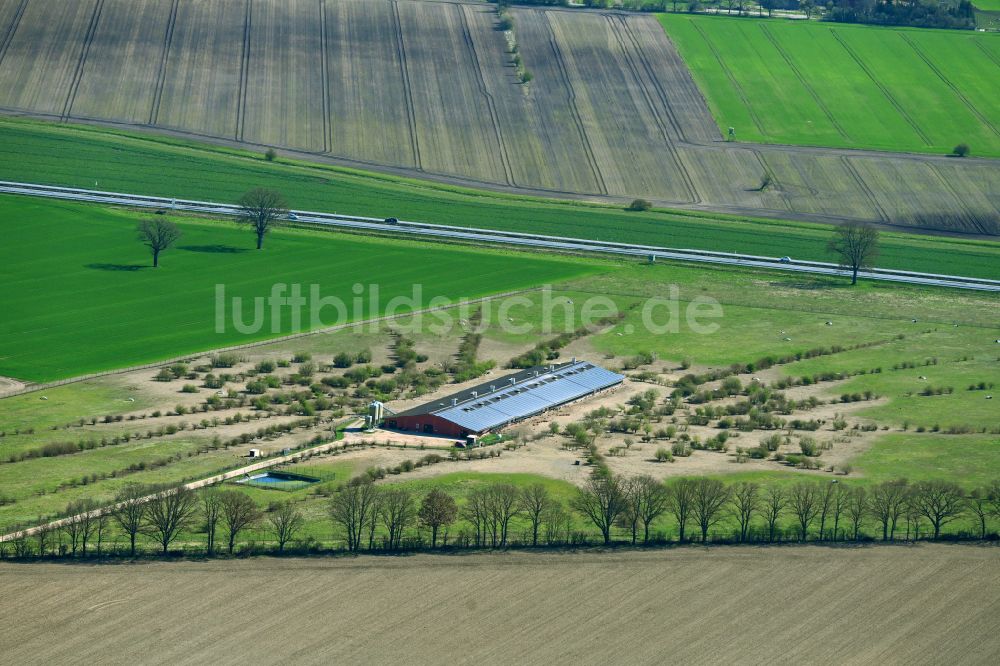 Wulfersdorf von oben - Tierzucht- Stallanlagen zur Geflügelzucht in Wulfersdorf im Bundesland Brandenburg, Deutschland