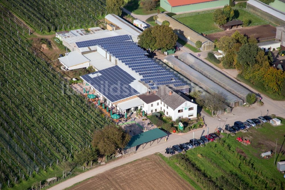 Luftbild Kandel - Tische und Sitzbänke der Freiluft- Gaststätten Zapf Hofmarkt und Hofcafé in Kandel im Bundesland Rheinland-Pfalz, Deutschland