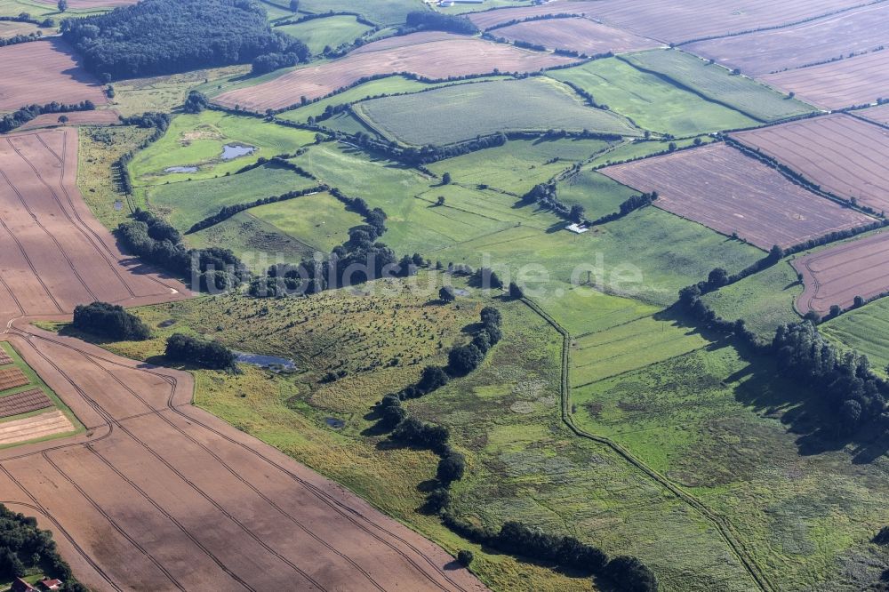 Luftbild Bothkamp - Tümpel und Morast- Wasseroberfläche in einer Bachlandschaft im Ortsteil Siek in Bothkamp im Bundesland Schleswig-Holstein