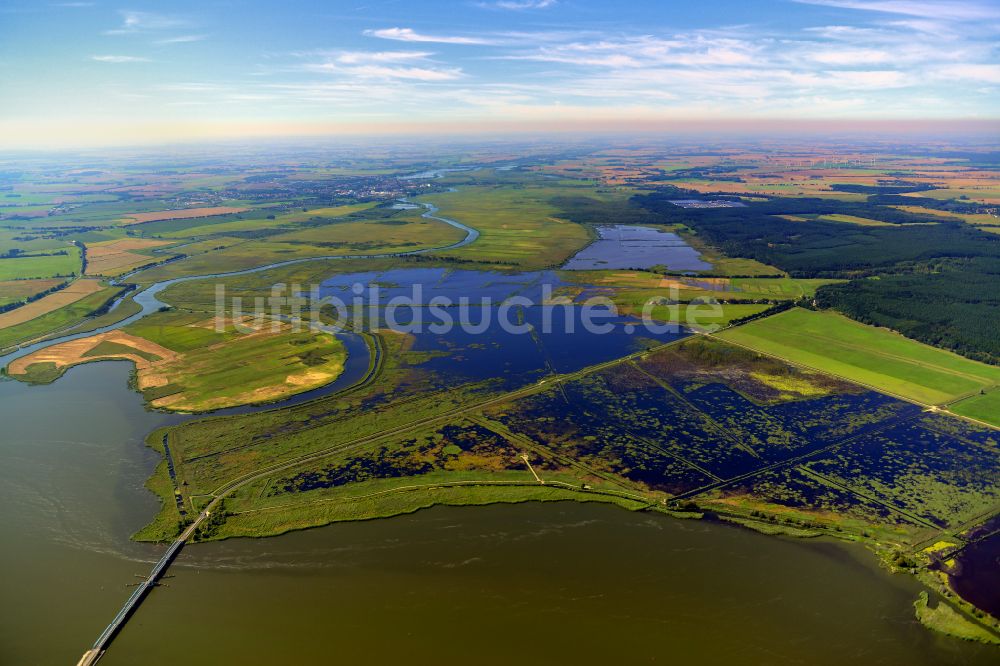 Luftaufnahme Buggenhagen - Tümpel und Morast- Wasseroberfläche mit Bäumen und Vegetation in Buggenhagen im Bundesland Mecklenburg-Vorpommern, Deutschland