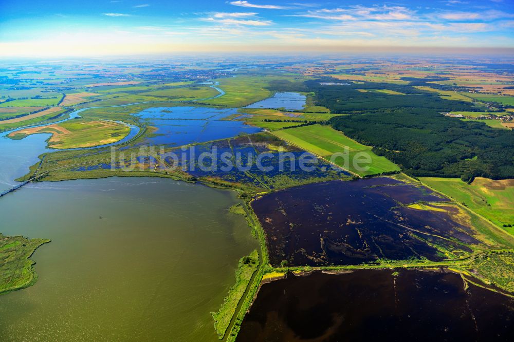 Buggenhagen von oben - Tümpel und Morast- Wasseroberfläche mit Bäumen und Vegetation in Buggenhagen im Bundesland Mecklenburg-Vorpommern, Deutschland