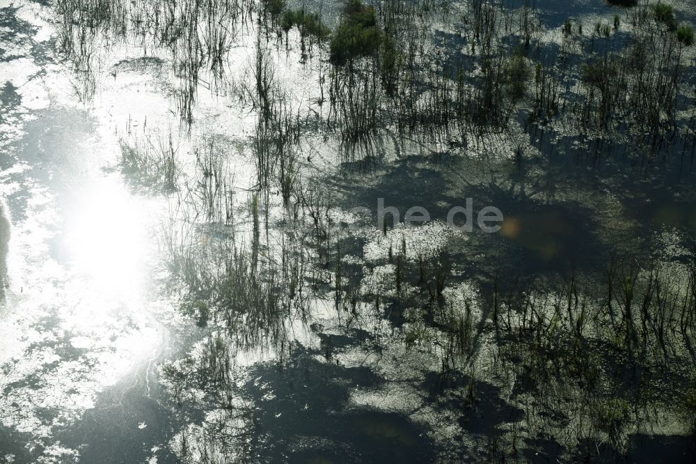 Luftaufnahme Rötha - Tümpel und Morast- Wasseroberfläche in einer Teichlandschaft in Rötha im Bundesland Sachsen