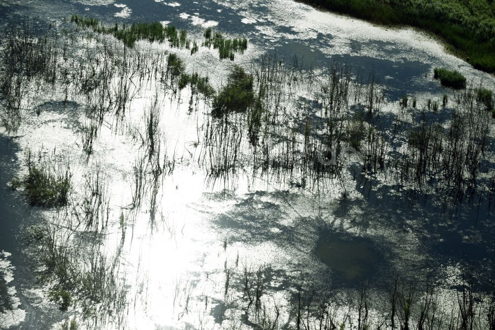 Rötha von oben - Tümpel und Morast- Wasseroberfläche in einer Teichlandschaft in Rötha im Bundesland Sachsen