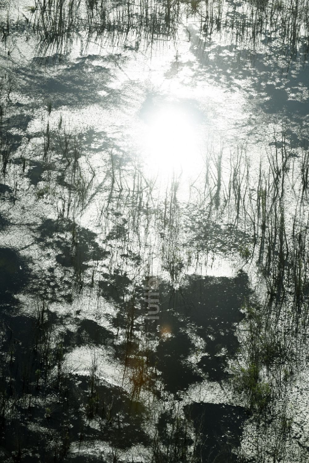 Rötha aus der Vogelperspektive: Tümpel und Morast- Wasseroberfläche in einer Teichlandschaft in Rötha im Bundesland Sachsen