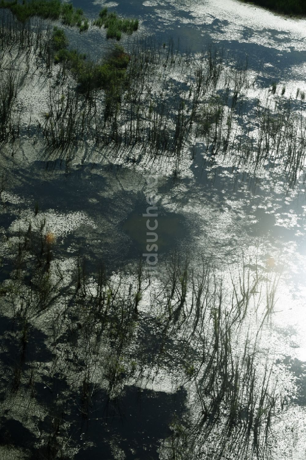 Luftbild Rötha - Tümpel und Morast- Wasseroberfläche in einer Teichlandschaft in Rötha im Bundesland Sachsen