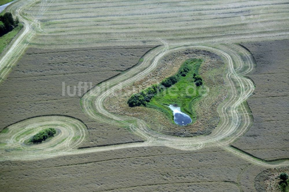 Broderstorf von oben - Tümpel Oasen auf abgeernteten landwirtschaftlichen Feldern in Broderstorf im Bundesland Mecklenburg-Vorpommern