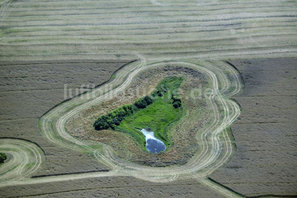 Broderstorf aus der Vogelperspektive: Tümpel Oasen auf abgeernteten landwirtschaftlichen Feldern in Broderstorf im Bundesland Mecklenburg-Vorpommern