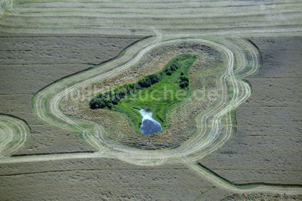 Luftbild Broderstorf - Tümpel Oasen auf abgeernteten landwirtschaftlichen Feldern in Broderstorf im Bundesland Mecklenburg-Vorpommern