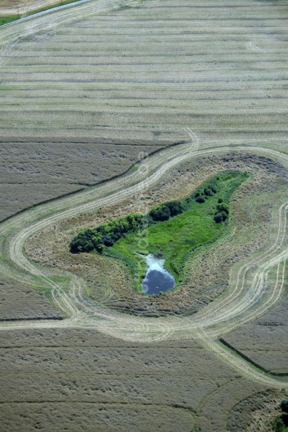 Luftaufnahme Broderstorf - Tümpel Oasen auf abgeernteten landwirtschaftlichen Feldern in Broderstorf im Bundesland Mecklenburg-Vorpommern