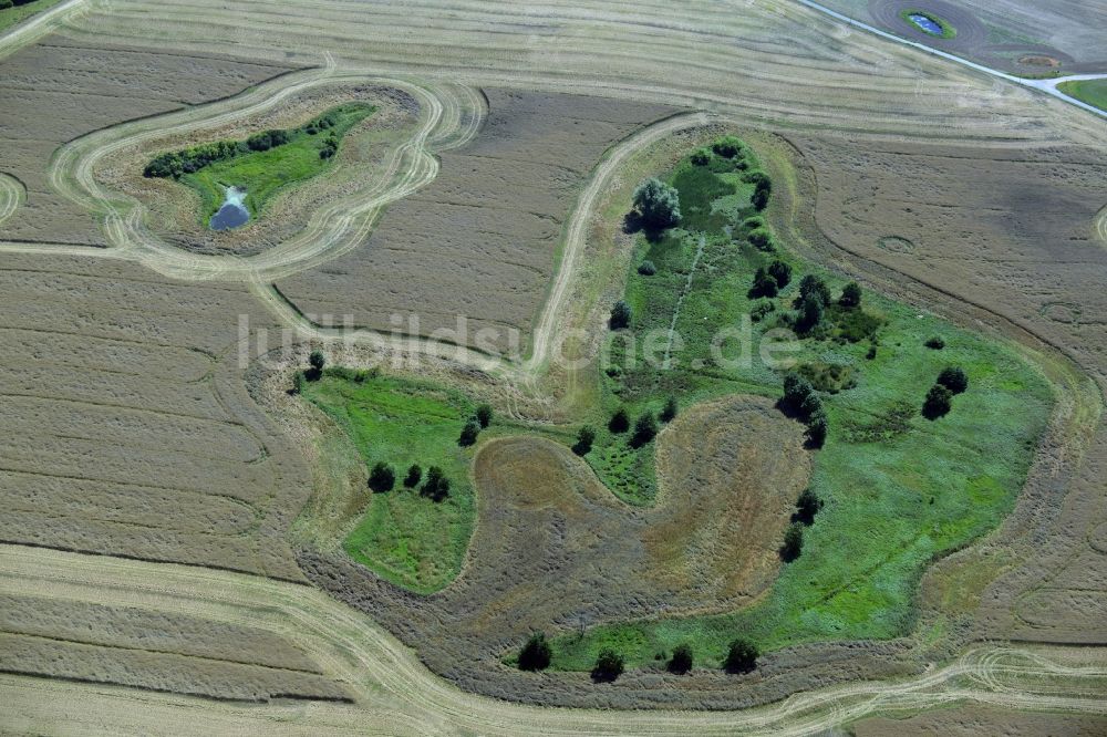 Broderstorf von oben - Tümpel Oasen auf abgeernteten landwirtschaftlichen Feldern in Broderstorf im Bundesland Mecklenburg-Vorpommern