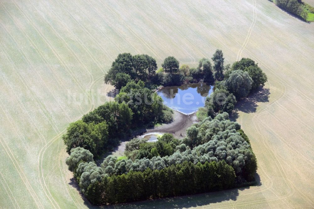 Luftbild Lindendorf - Tümpel Oasen auf abgeernteten landwirtschaftlichen Feldern in Lindendorf im Bundesland Brandenburg