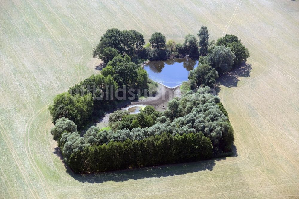 Luftaufnahme Lindendorf - Tümpel Oasen auf abgeernteten landwirtschaftlichen Feldern in Lindendorf im Bundesland Brandenburg