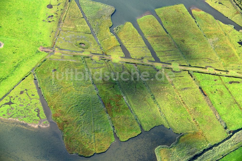 Luftbild Altenkrempe - Tümpel Oasen des Neustädter Binnenwasser auf Feldern in Altenkrempe im Bundesland Schleswig-Holstein