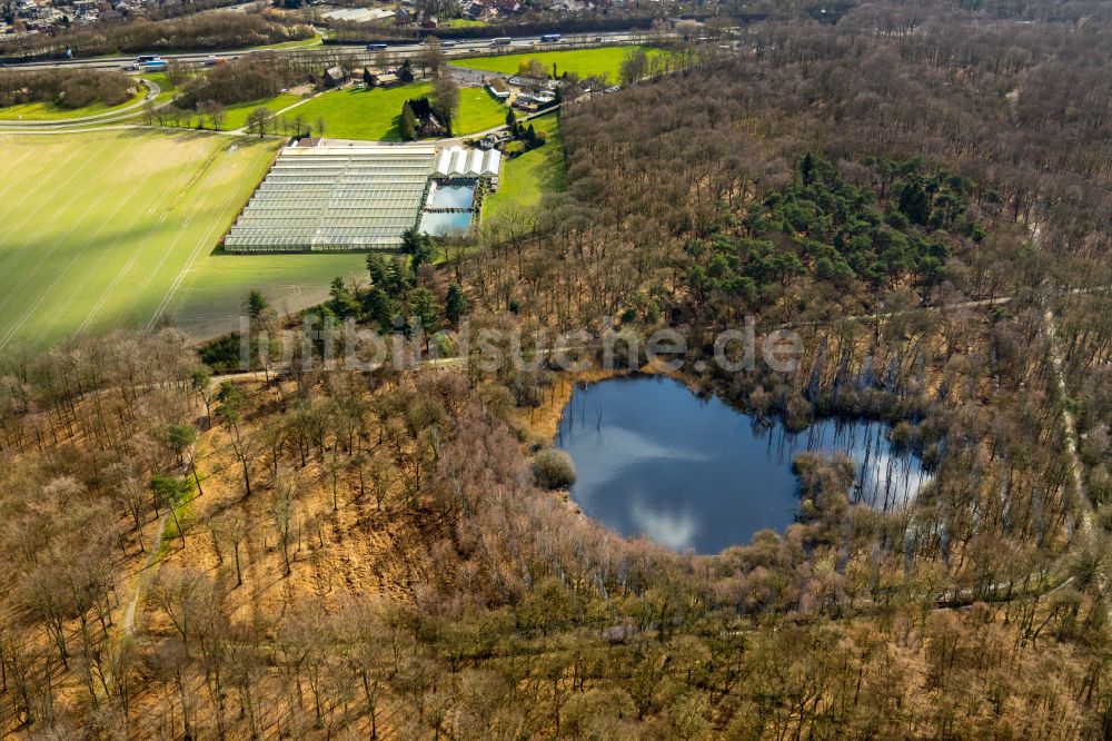 Luftbild Grafenwald - Tümpel- und Teich Oase bei Grafenwald im Bundesland Nordrhein-Westfalen, Deutschland