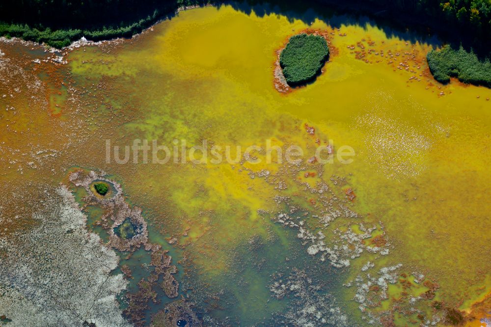 Schwarzheide von oben - Tümpel- und Teich Oase mit bunt gefärbten Einleitungen und Sedimentsablagerungen in Schwarzheide im Bundesland Brandenburg, Deutschland