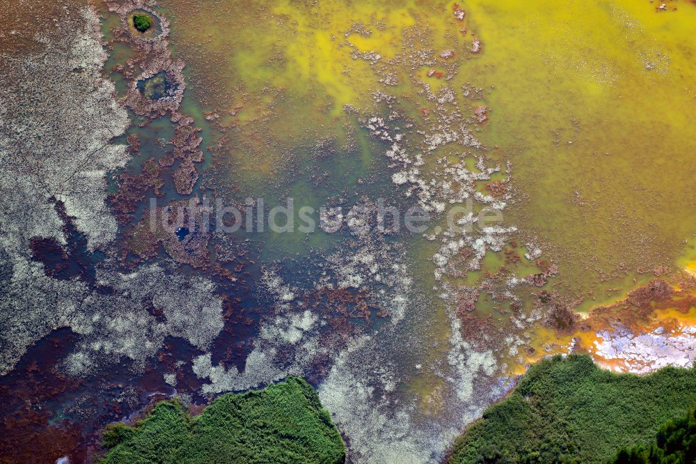 Schwarzheide aus der Vogelperspektive: Tümpel- und Teich Oase mit bunt gefärbten Einleitungen und Sedimentsablagerungen in Schwarzheide im Bundesland Brandenburg, Deutschland