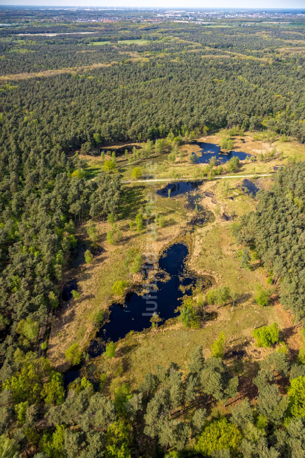 Luftaufnahme Brüggen - Tümpel- und Teich Oase in einem Wald- und Forstgebiet in Brüggen im Bundesland Nordrhein-Westfalen, Deutschland