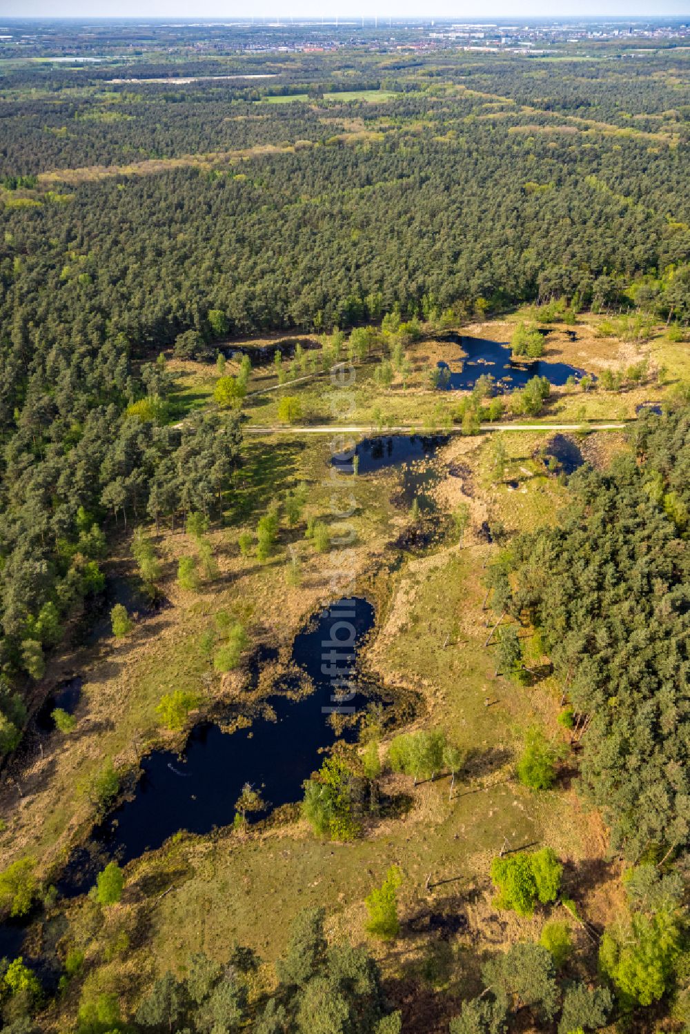 Brüggen von oben - Tümpel- und Teich Oase in einem Wald- und Forstgebiet in Brüggen im Bundesland Nordrhein-Westfalen, Deutschland