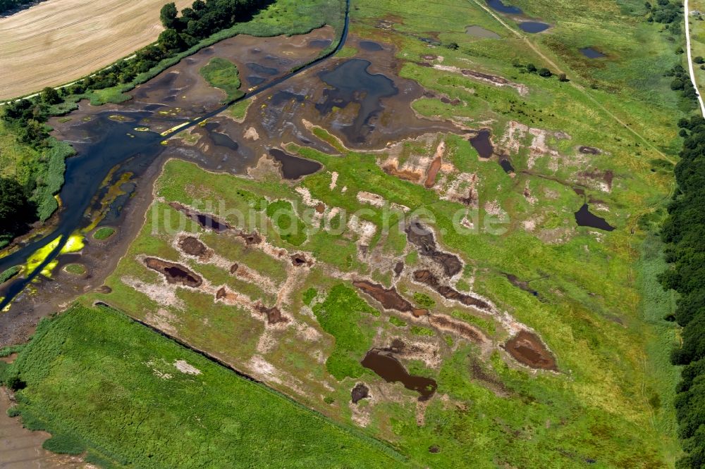 Luftaufnahme Nieby - Tümpel- und Teich Oase in Nieby im Bundesland Schleswig-Holstein, Deutschland