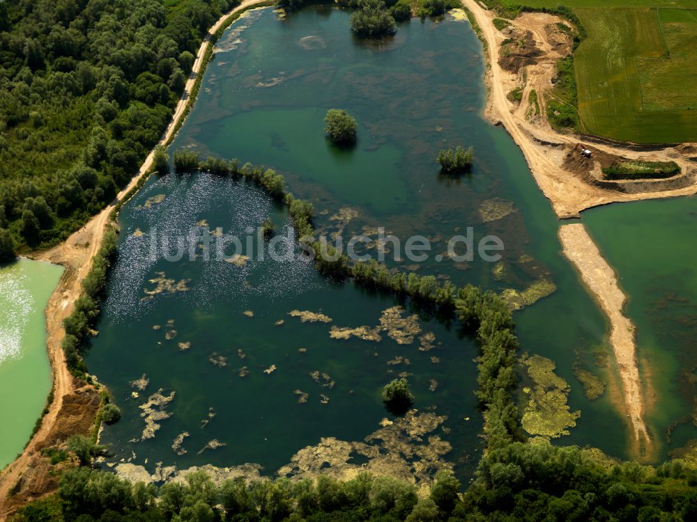 Luftbild Rottenburg am Neckar - Tümpel- und Teich Oase in Rottenburg am Neckar im Bundesland Baden-Württemberg, Deutschland