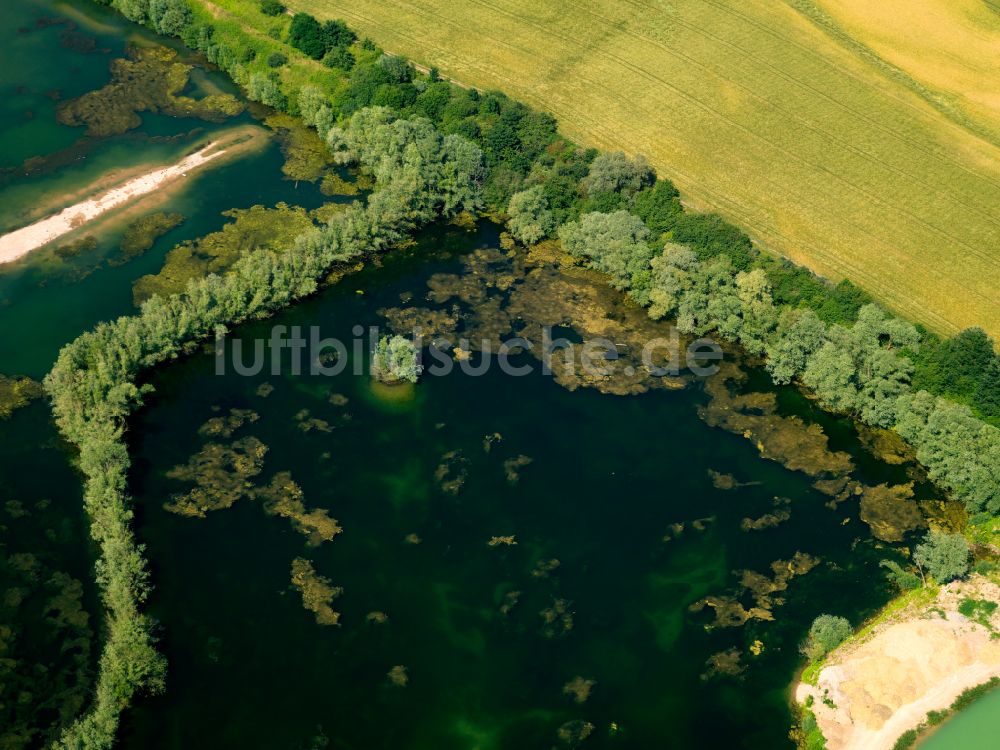 Rottenburg am Neckar von oben - Tümpel- und Teich Oase in Rottenburg am Neckar im Bundesland Baden-Württemberg, Deutschland