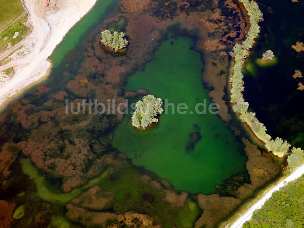 Rottenburg am Neckar aus der Vogelperspektive: Tümpel- und Teich Oase in Rottenburg am Neckar im Bundesland Baden-Württemberg, Deutschland