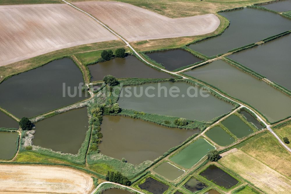 Luftaufnahme Gremsdorf - Tümpel- und Teich Oase Vogelfreistätte Weihergebiet bei Mohrhof in Gremsdorf im Bundesland Bayern, Deutschland