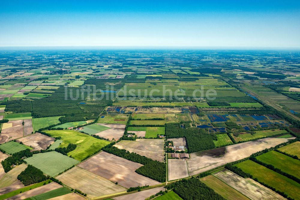 Freistatt aus der Vogelperspektive: Torf- Abbau auf Moor- Feldern Freistätter Moor in Freistatt im Bundesland Niedersachsen, Deutschland