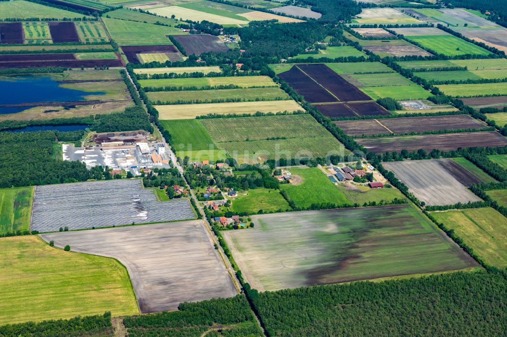 Luftaufnahme Uchte - Torf- Abbau auf Moor- Feldern Grosses Moor in Uchte im Bundesland Niedersachsen, Deutschland