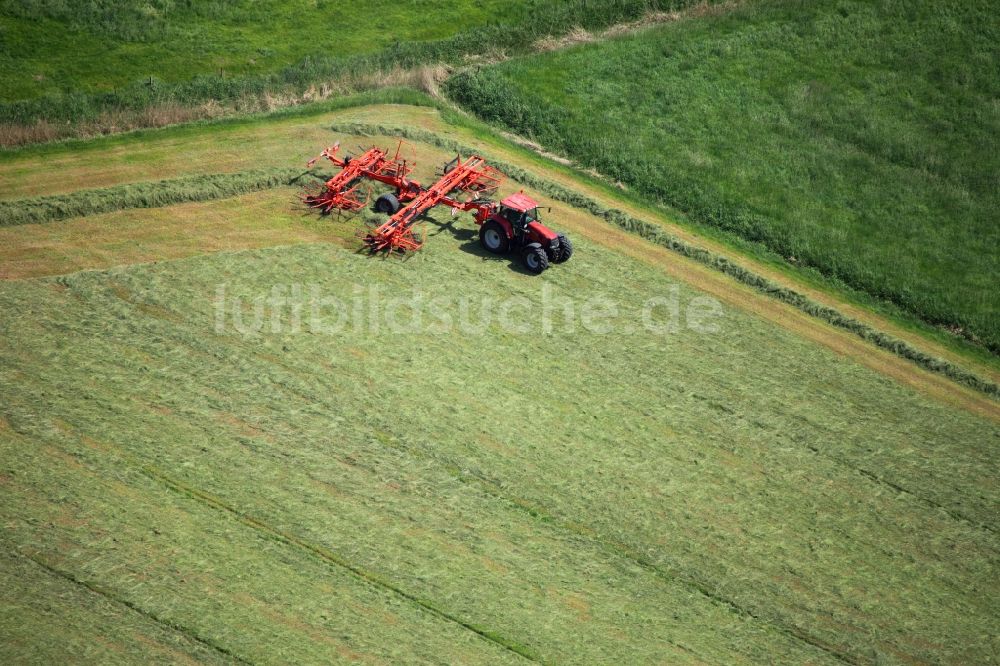 Rieseby von oben - Traktor und Feldarbeit im Ortsteil Hörst in Rieseby im Bundesland Schleswig-Holstein