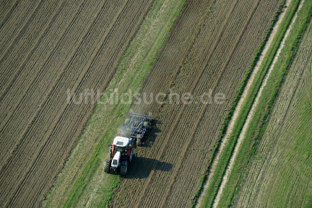 Laußig aus der Vogelperspektive: Traktor und Mähdrescher auf landwirtschaftlichen Feldern in Laußig im Bundesland Sachsen