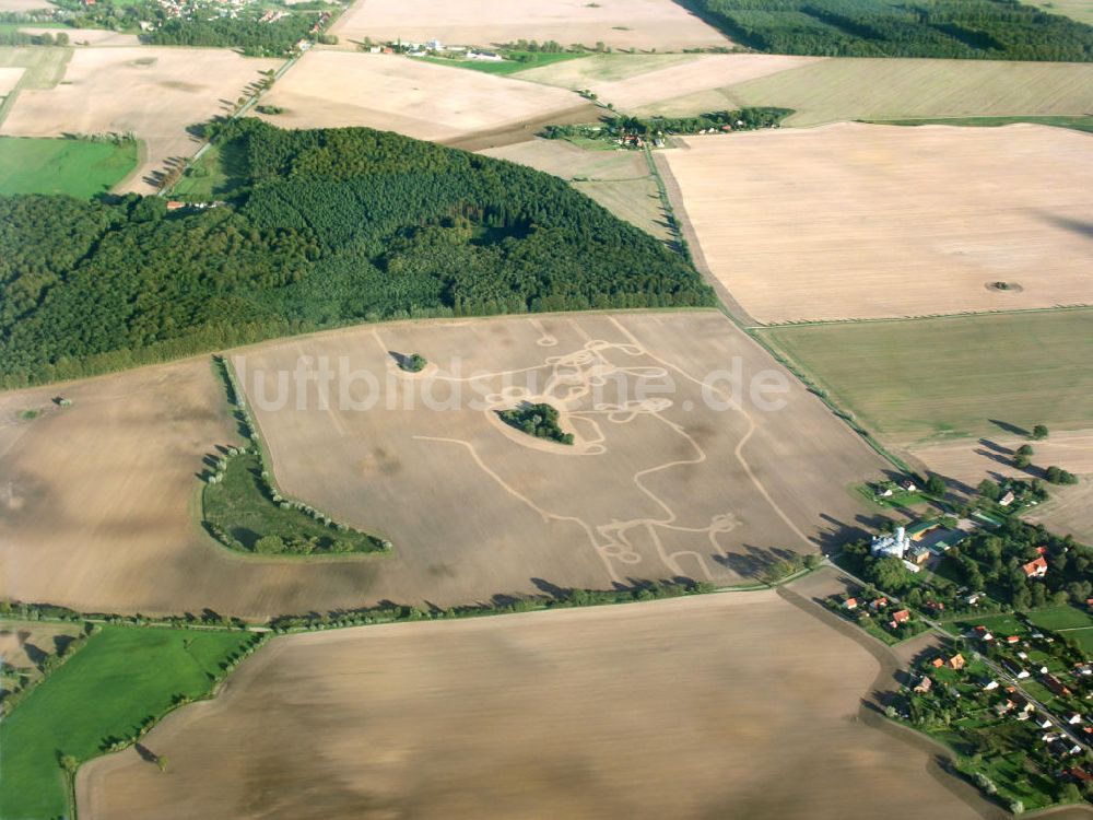 Luftaufnahme Templin - Traktorspuren im Feld Templin