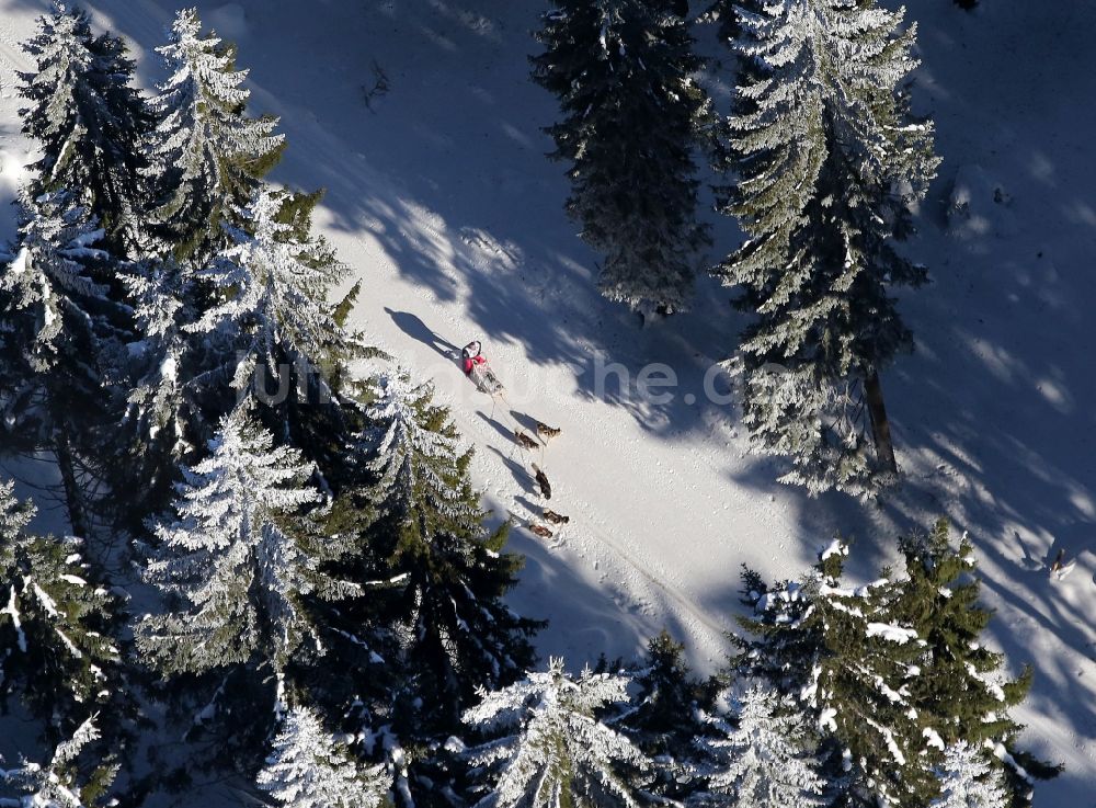Luftbild Masserberg - Trans Thüringia - Schlittenhunderennen in der schneeverschneiten Winterlandschaft bei Masserberg im Bundesland Thüringen