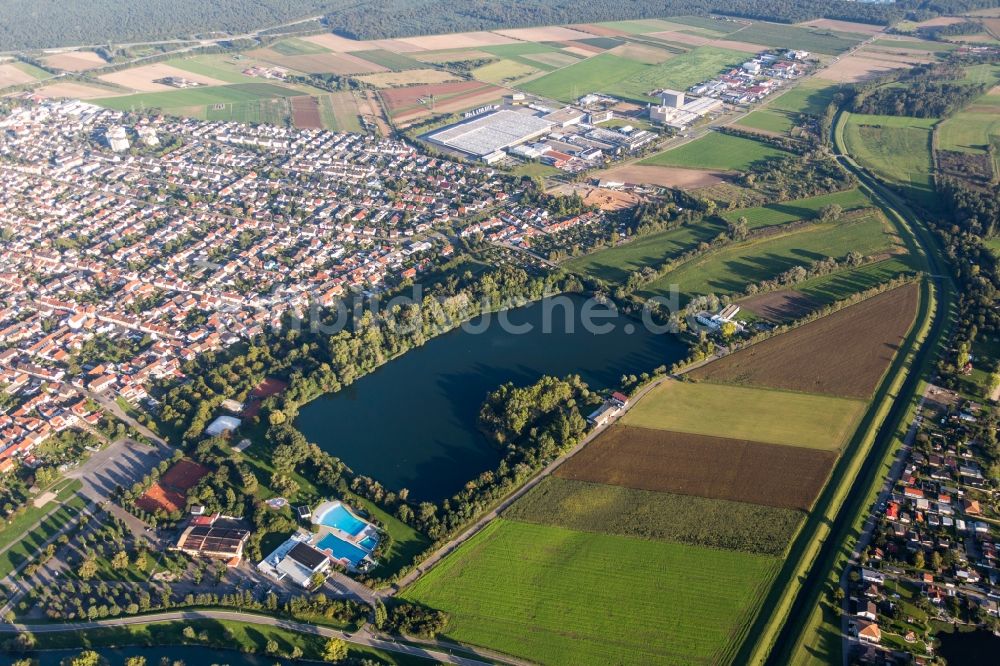 Luftbild Ketsch - Ufer des Baggerseees Anglersee in Ketsch im Bundesland Baden-Württemberg, Deutschland