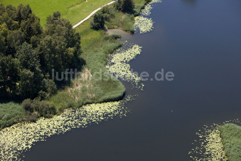 Konstanz aus der Vogelperspektive: Ufer des Bodensee am Stadtrand in Konstanz im Bundesland Baden-Württemberg