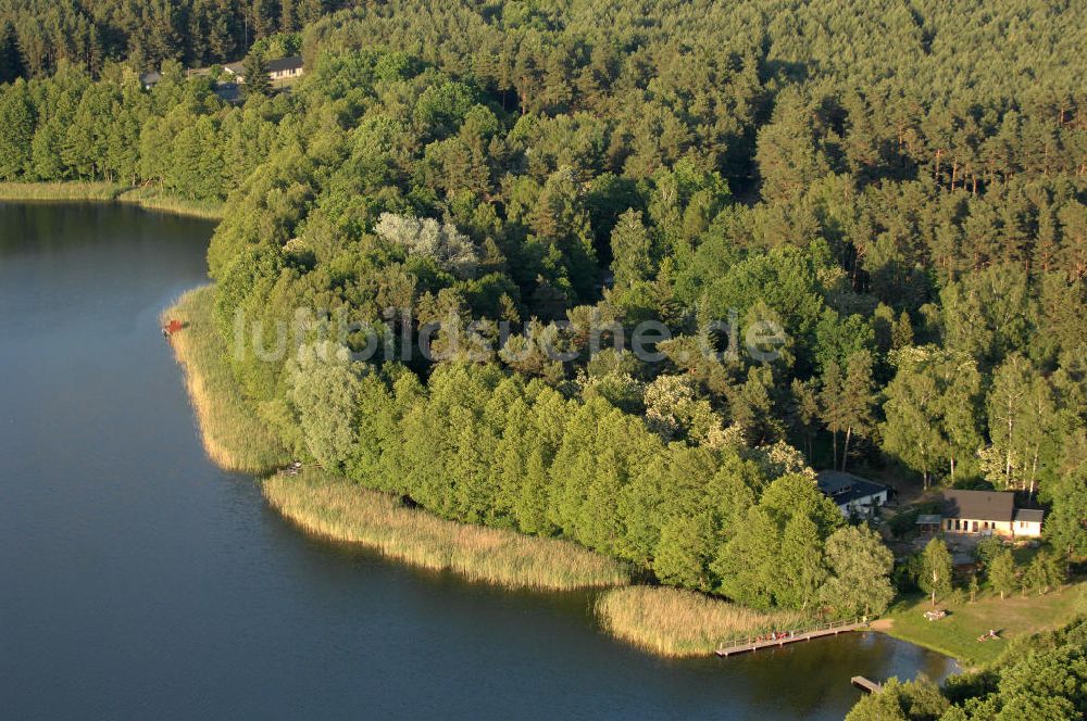 Luftaufnahme Hammer - Ufer des Kupanzsees bei Hammer