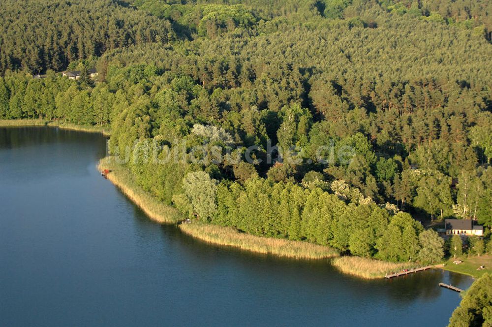 Hammer von oben - Ufer des Kupanzsees bei Hammer