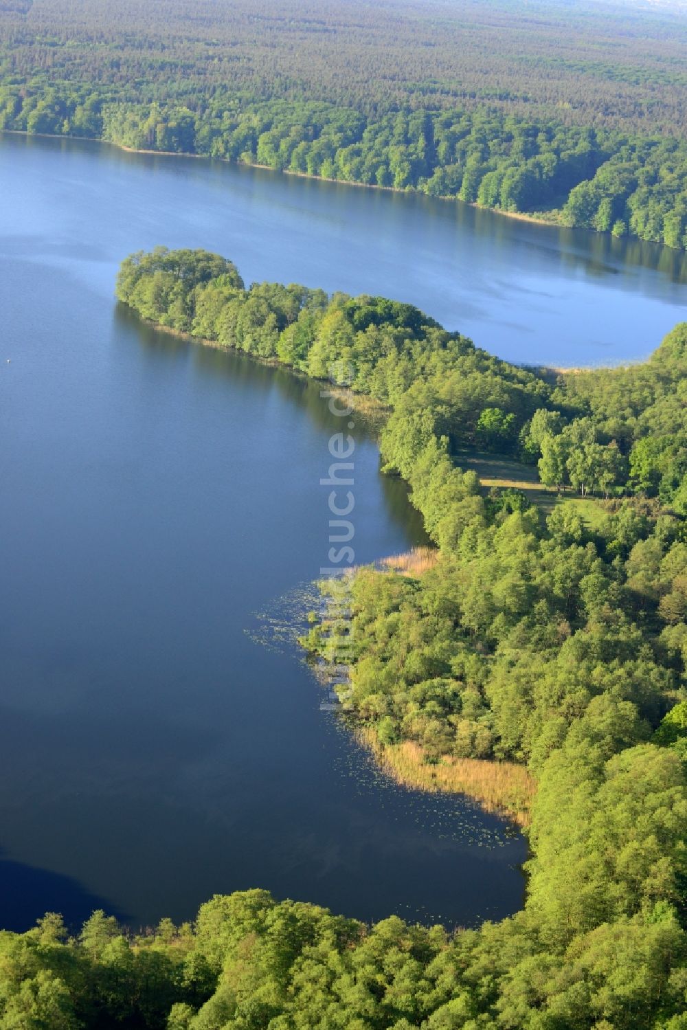 Neuruppin aus der Vogelperspektive: Ufer des Tornowsee im Stadtgebiet Neuruppin im Bundesland Brandenburg