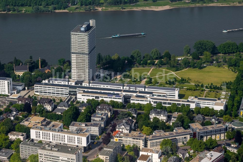 Bonn OT Gronau von oben - Ufer zum Fluss Rhein im Ortsteil Gronau in Bonn im Bundesland Nordrhein-Westfalen NRW