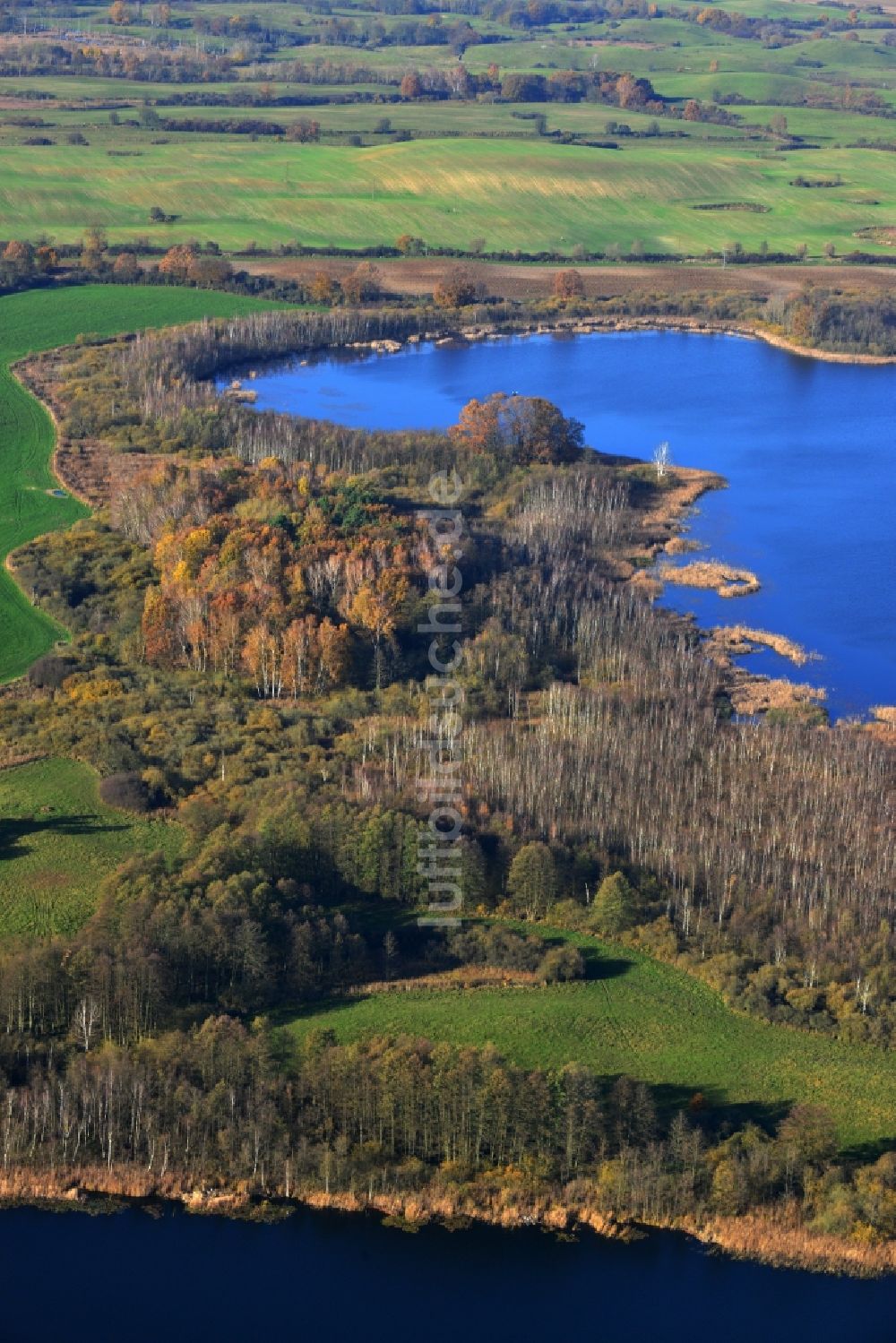 Temmen-Ringenwalde von oben - Ufer zum Sabinensee in Temmen-Ringenwalde im Bundesland Brandenburg