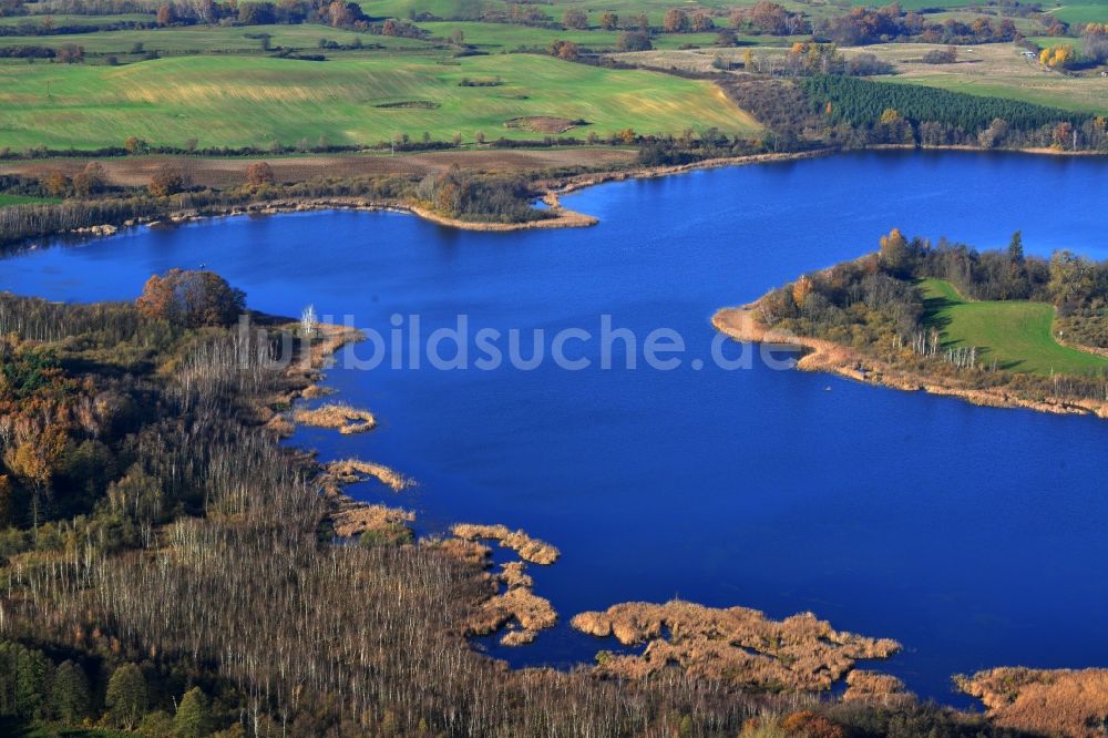 Temmen-Ringenwalde aus der Vogelperspektive: Ufer zum Sabinensee in Temmen-Ringenwalde im Bundesland Brandenburg