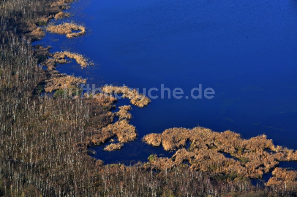 Luftbild Temmen-Ringenwalde - Ufer zum Sabinensee in Temmen-Ringenwalde im Bundesland Brandenburg