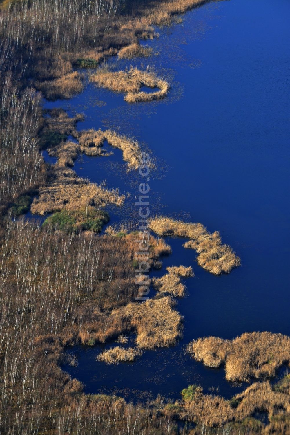 Luftaufnahme Temmen-Ringenwalde - Ufer zum Sabinensee in Temmen-Ringenwalde im Bundesland Brandenburg